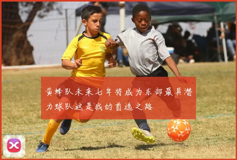 黄蜂队未来七年将成为东部最具潜力球队这是我的首选之路
