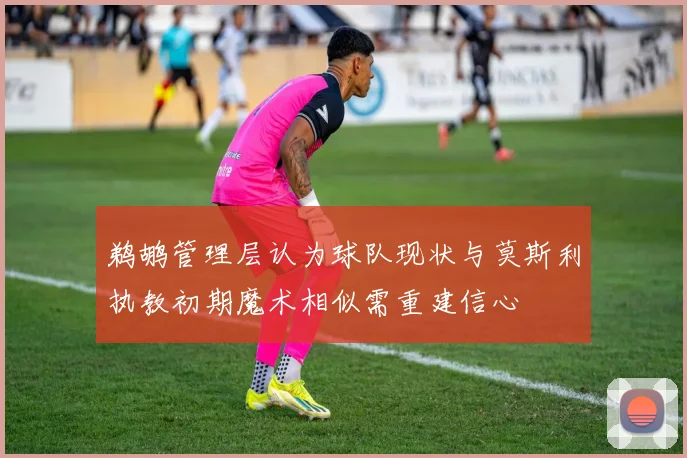 鹈鹕管理层认为球队现状与莫斯利执教初期魔术相似需重建信心