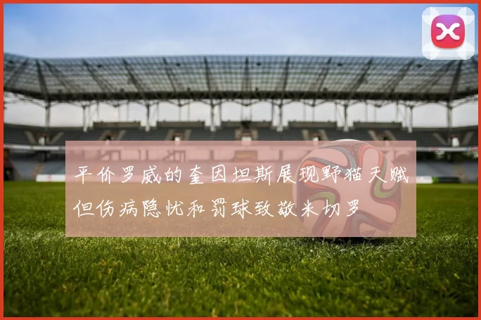 平价罗威的奎因坦斯展现野猫天赋但伤病隐忧和罚球致敬米切罗